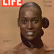Illustration for article titled The Troubles and Triumphs of Black Supermodels